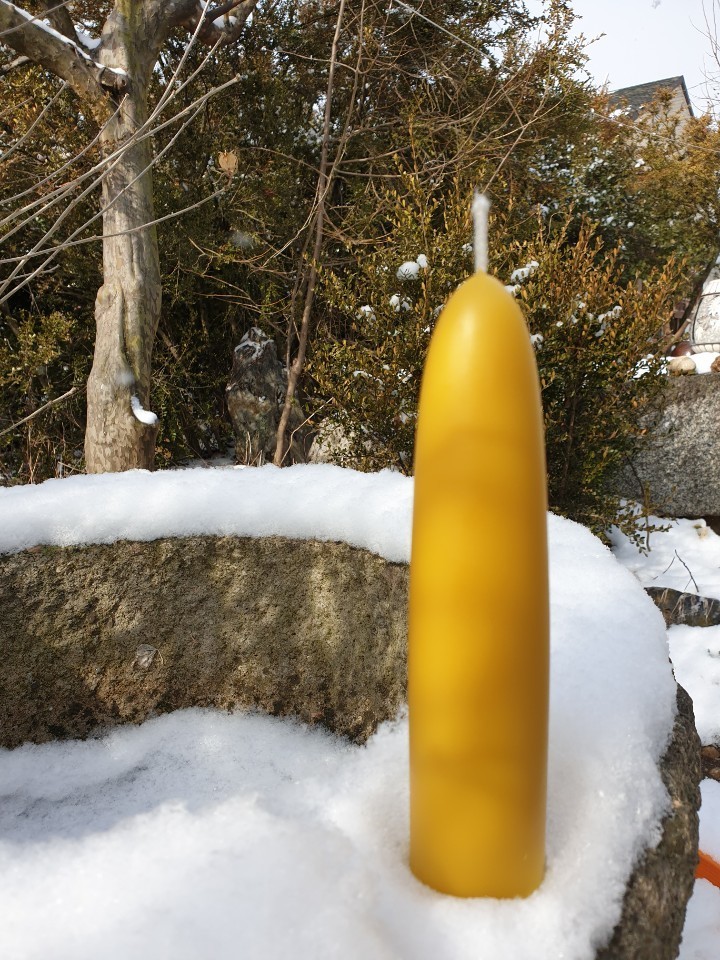 원추형소자(다량구매 01099788850)
